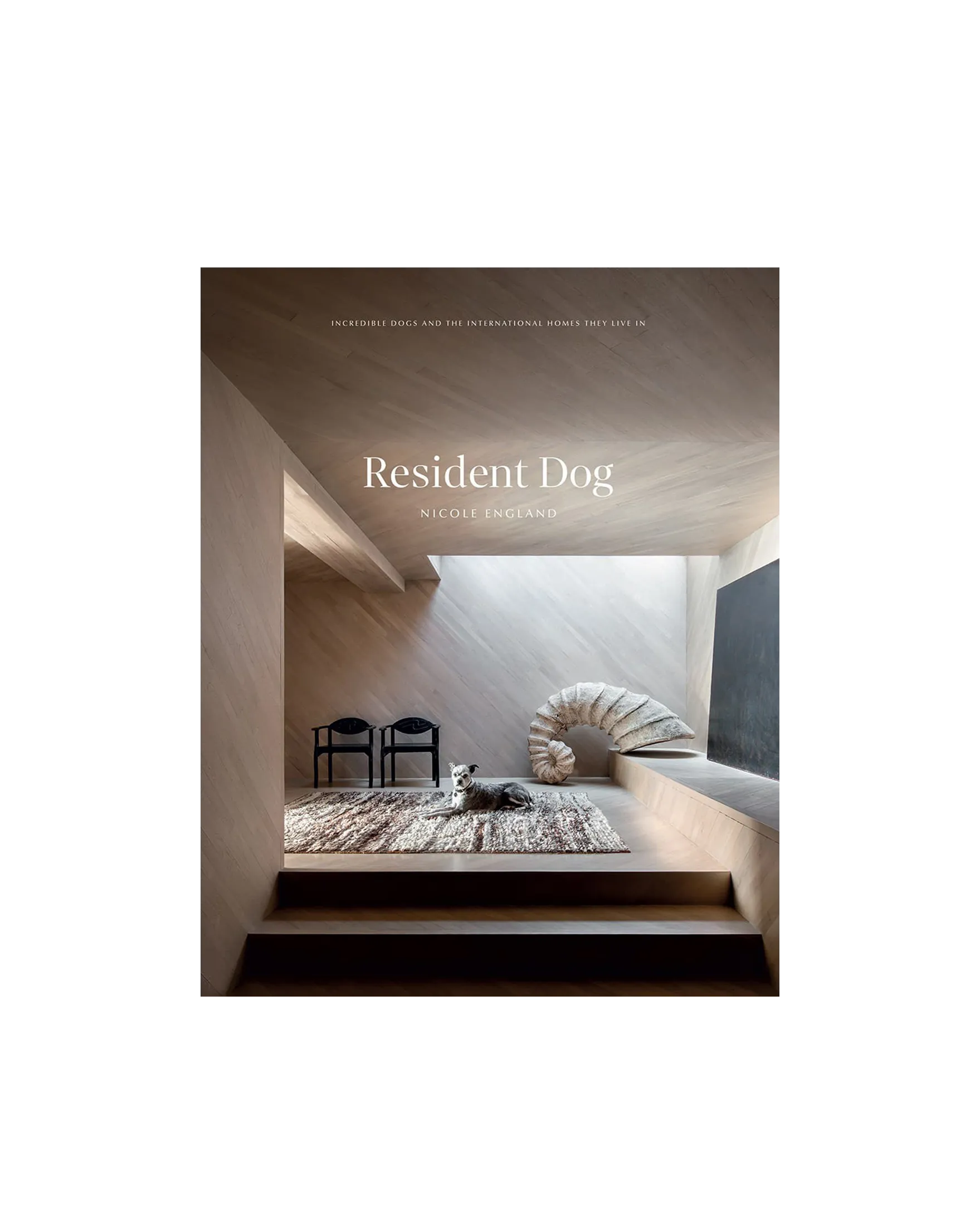 RESIDENT DOG