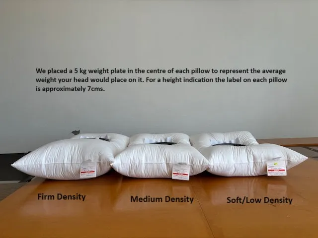 USA Standard Size SOFT density LOW profile Pillow 95% White Premium Polish Goose Down German Batiste TE100