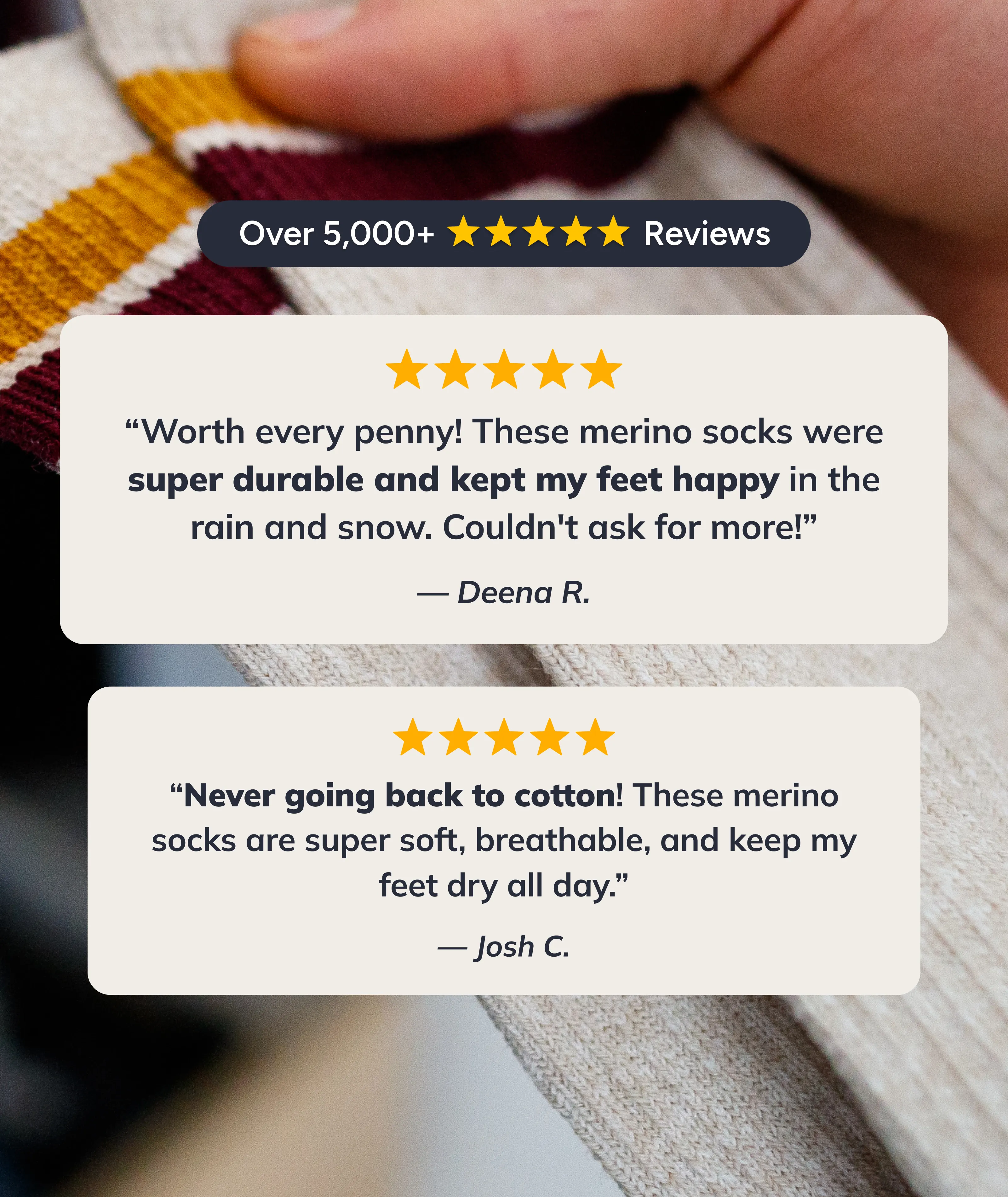 Wander Merino Crew Socks 3-Pack