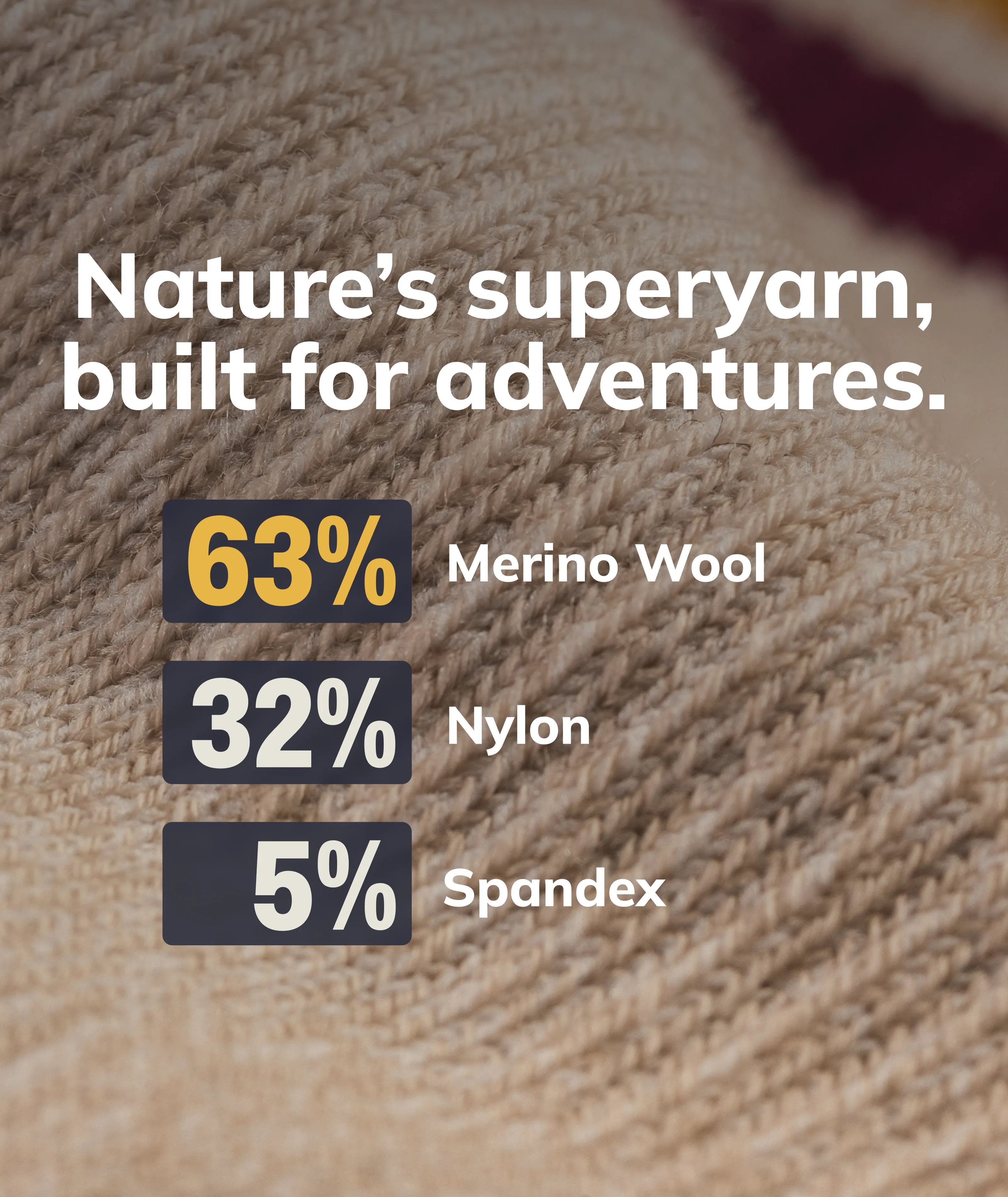 Wander Merino Crew Socks 3-Pack
